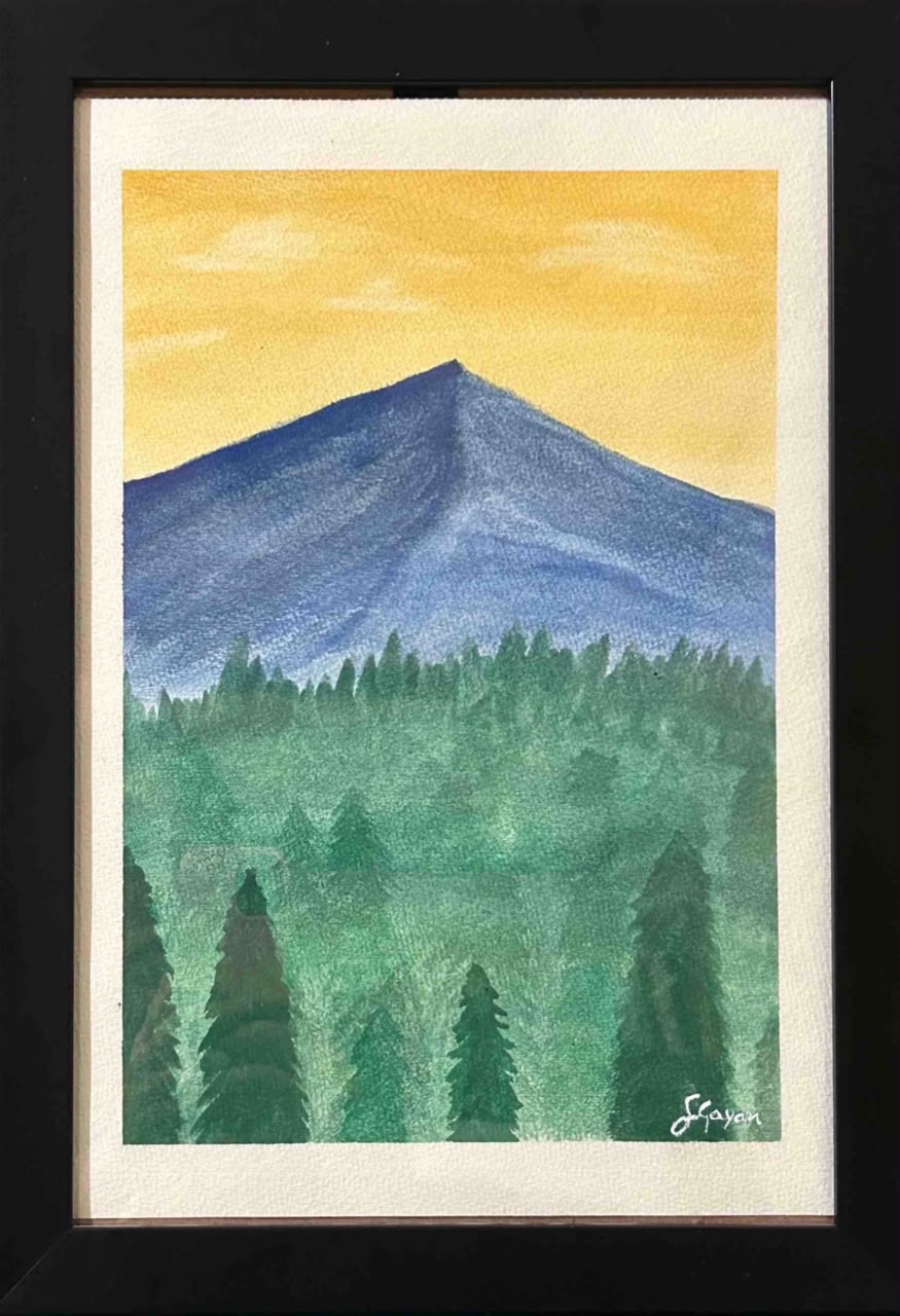 Above the Evergreen